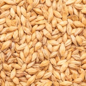BEST Vienna Malt – 8-10 EBC