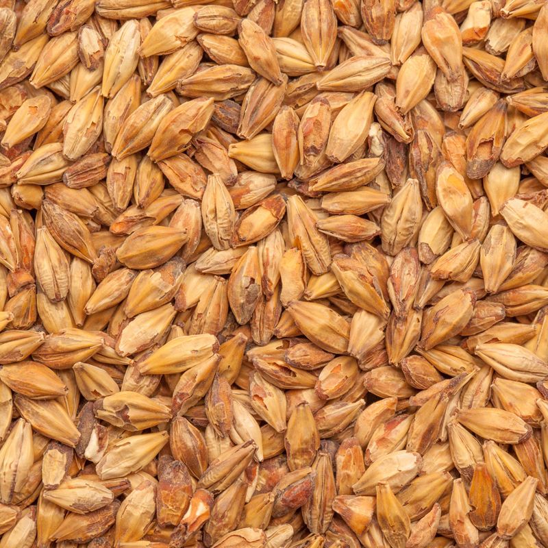 BEST Caramel® Munich III – EBC 131-200 - Image 2