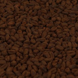 Castle Malting Château Chocolat® – EBC 800-1000