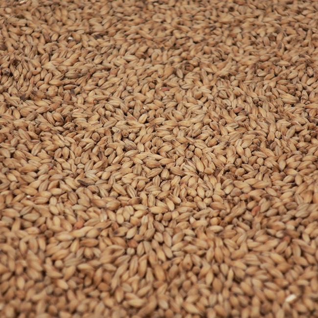Castle Malting Château Smoked® – EBC 4-12 - Image 4