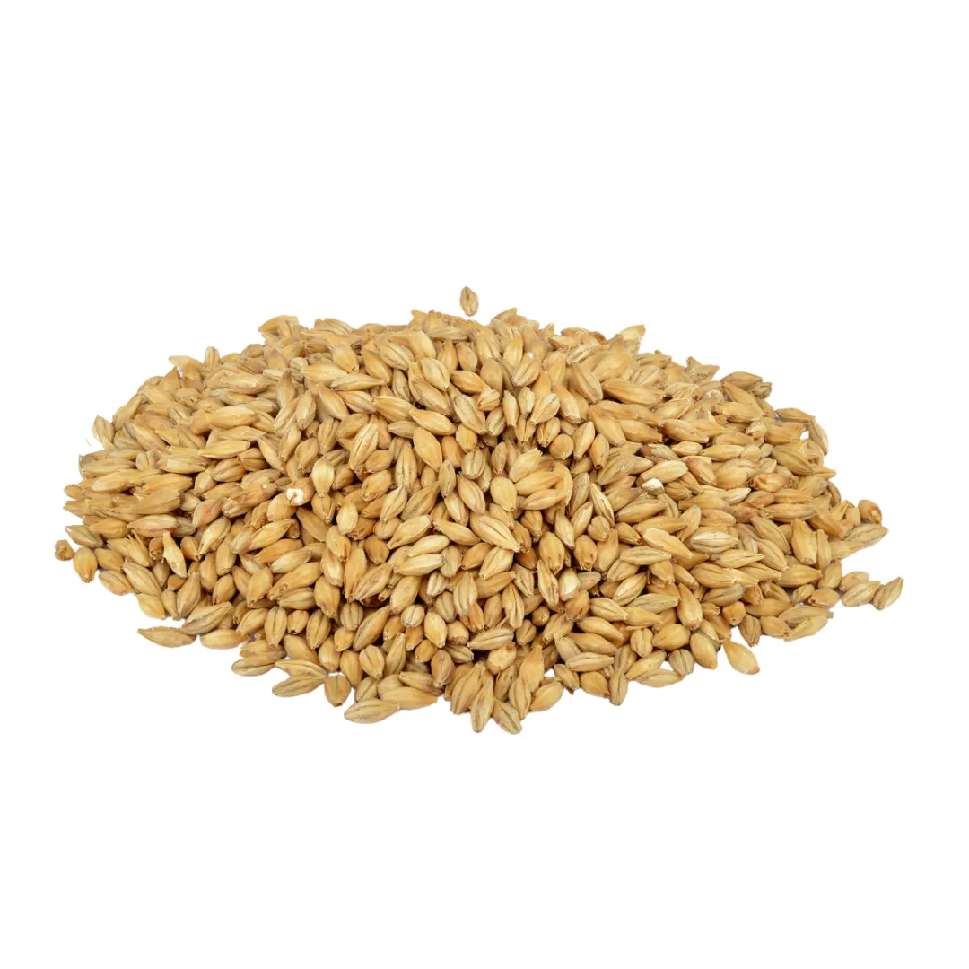Weyermann® Extra Pale Premium Pilsner Malt EBC 2 – 3,5