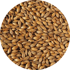 CRISP – Best Ale Malt – 25kg, BBE 30.1.2026