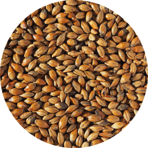 CRISP – Brown Malt