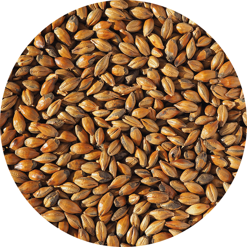 CRISP – Brown Malt - Image 2