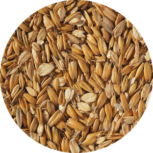 CRISP – Flaked Torrefied Oats – paahdetut kaurahiutaleet