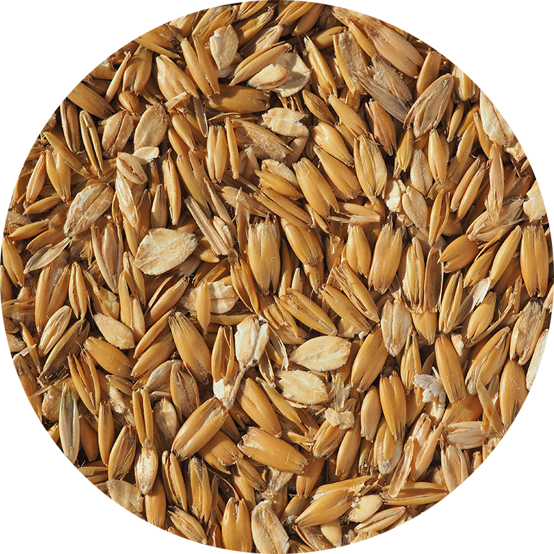CRISP – Flaked Torrefied Oats – paahdetut kaurahiutaleet - Image 2