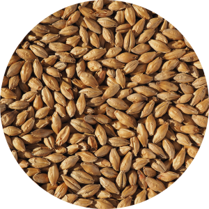 CRISP – MUNICH LIGHT MALT