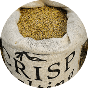 CRISP – NO 19 FLOOR MALTED MARIS OTTER MALT – LATTIAMALLASTETTU MARIS OTTER - Image 2