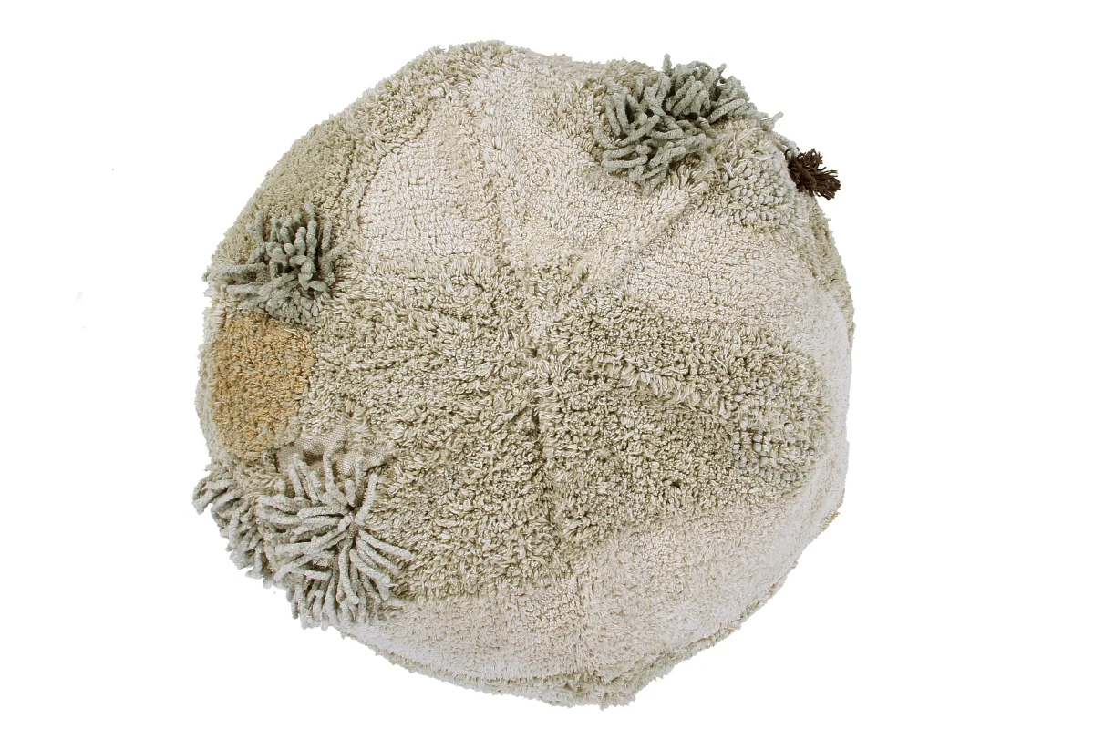 Mushroom Hunt, Rahi, Mossy Rock - Image 5