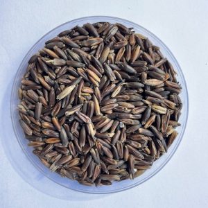Pehkolan Mallastamo Mustakaura