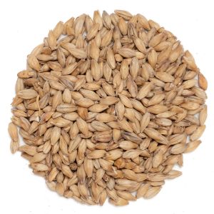 Viking Pale Ale Malt – EBC 5