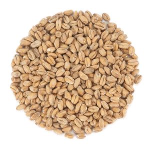 Dingemans Wheat Malt MD™ – EBC 3