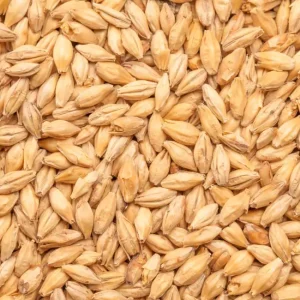BEST Chit Malt – EBC 2-3