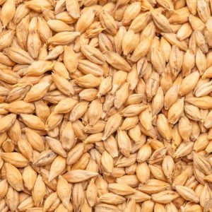 BEST Heidelberger Pilsner Malt – 25kg – TARJOUS!