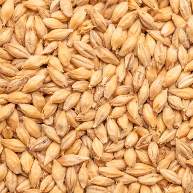 BEST Heidelberger Pilsner Malt – 25kg – TARJOUS! - Image 2