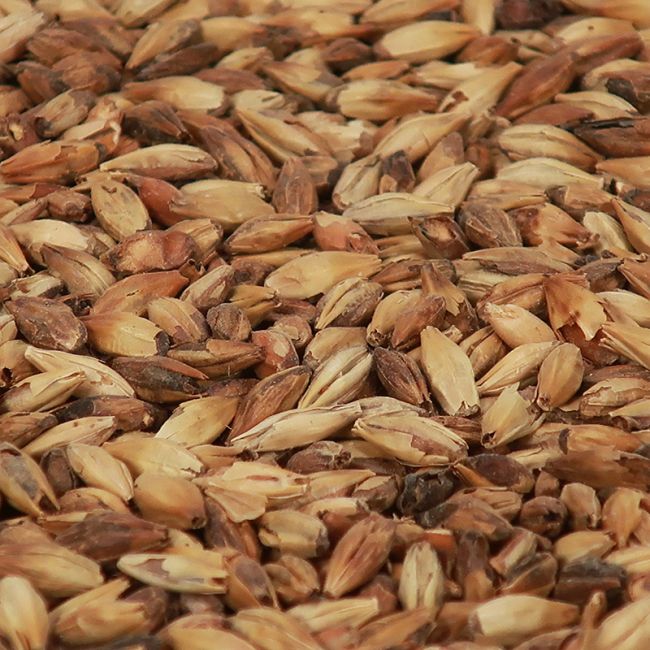 Castle Malting Cafe Light Malt – EBC 220 – 280 - Image 2
