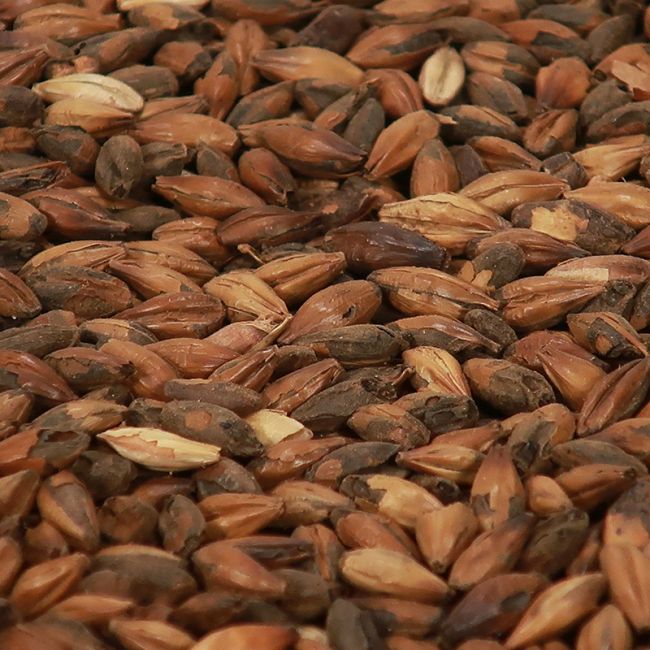 Castle Malting Cafe Malt – EBC 500