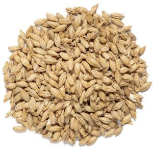 Dingemans Pilsen MD™ – EBC 2.5-3.5