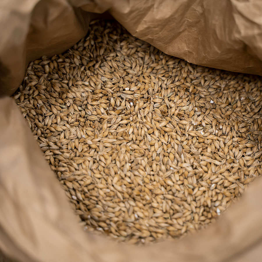 Pehkolan Mallastamo Pilsner - Image 5