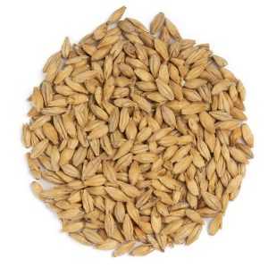 Weyermann® Beech Smoked Barley Malt – EBC 4-8